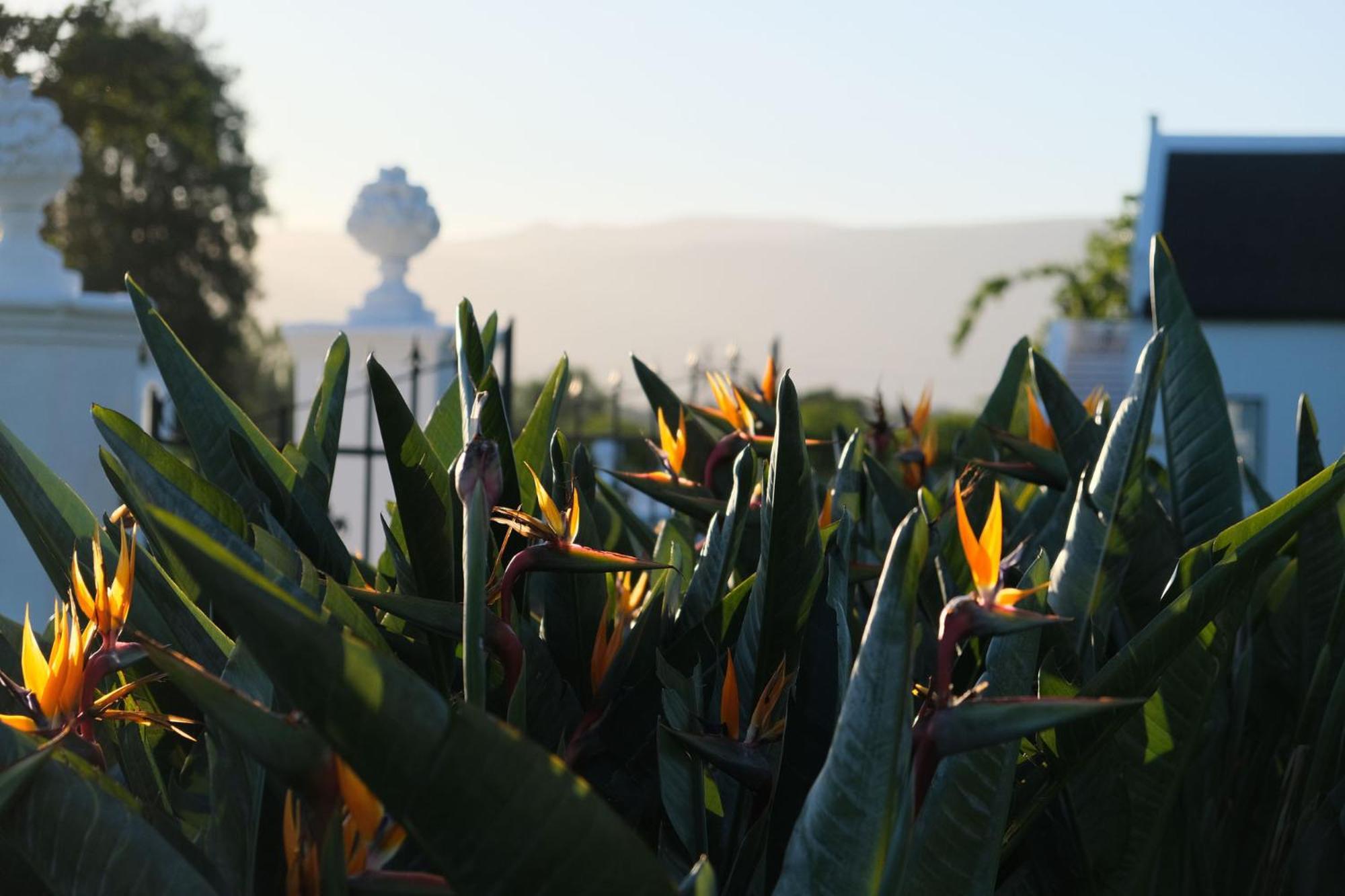 Adara Palmiet Valley Luxurious Boutique Farm Hotel Paarl Dış mekan fotoğraf