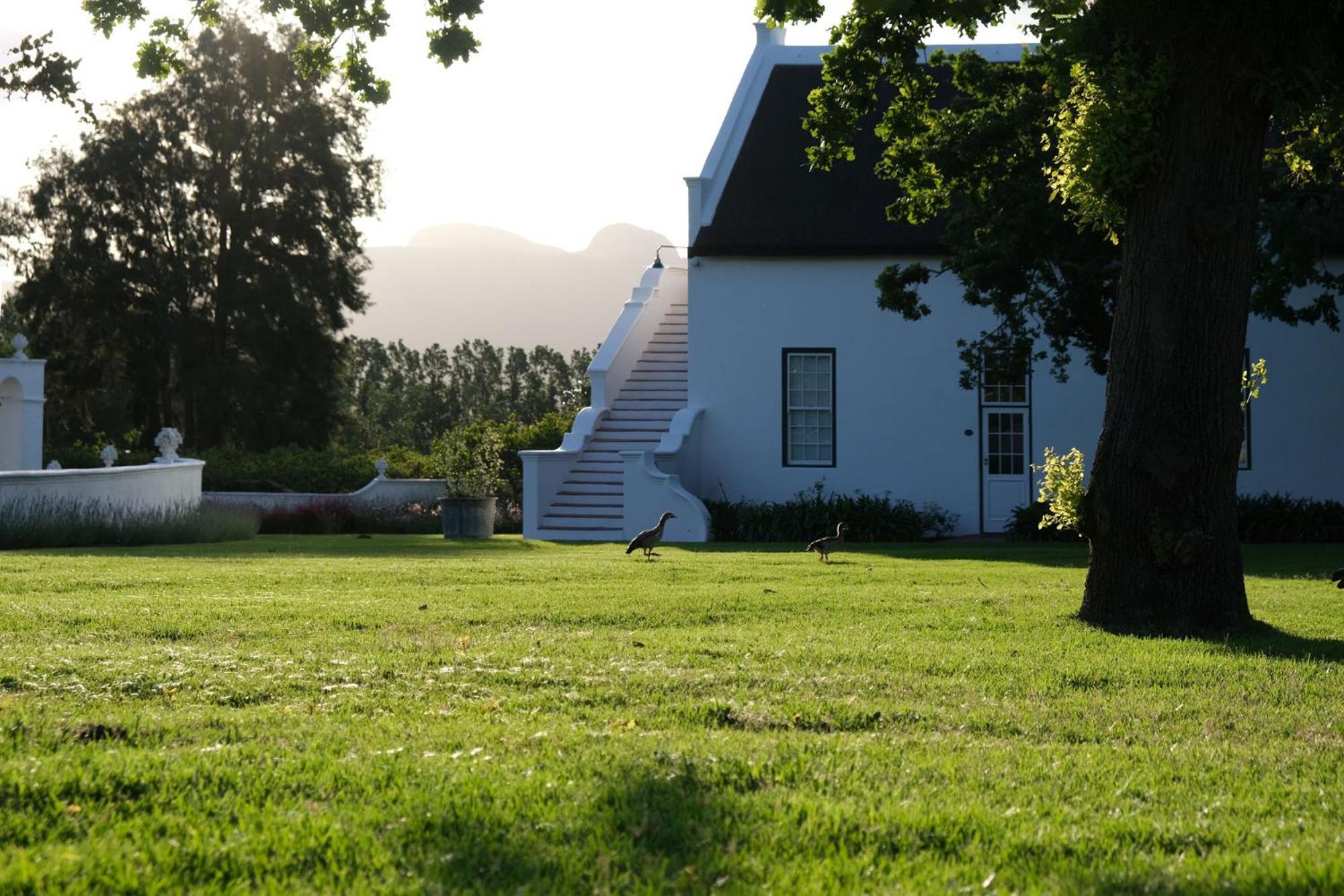 Adara Palmiet Valley Luxurious Boutique Farm Hotel Paarl Dış mekan fotoğraf